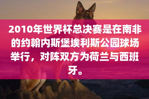 2010年世界杯总决赛是在南非的约翰内斯堡埃利斯公园球场举行，对阵双方为荷兰与西班牙。