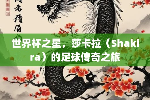 世界杯之星，莎卡拉（Shakira）的足球传奇之旅