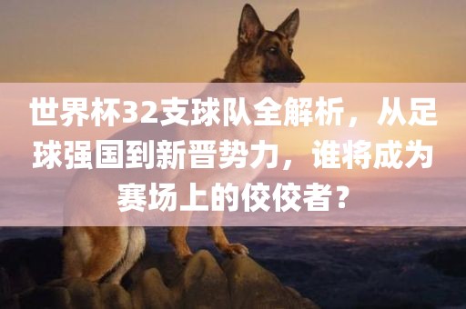 世界杯32支球队全解析，从足球强国到新晋势力，谁将成为赛场上的佼佼者？