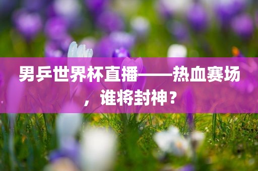 男乒世界杯直播——热血赛场，谁将封神？