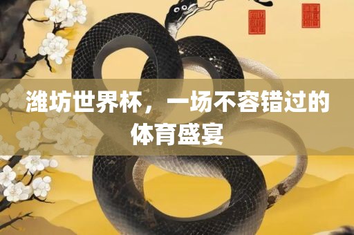 潍坊世界杯，一场不容错过的体育盛宴