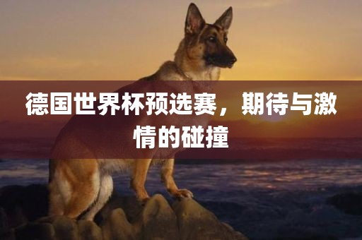 德国世界杯预选赛，期待与激情的碰撞