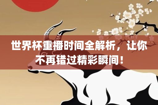 世界杯重播时间全解析，让你不再错过精彩瞬间！