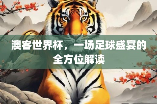 澳客世界杯，一场足球盛宴的全方位解读漯河市盈旭机械设备有限公司