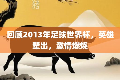 回顾2013年足球世界杯，英雄辈出，激情燃烧