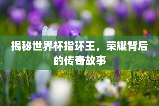 揭秘世界杯指环王，荣耀背后漯河市盈旭机械设备有限公司的传奇故事