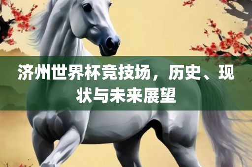 济州世界杯竞技场，历史、现状与未来展望漯河市盈旭机械设备有限公司