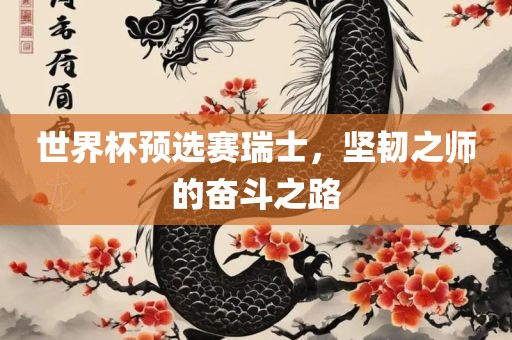 世界杯预选赛瑞士，坚韧之师的奋斗之路