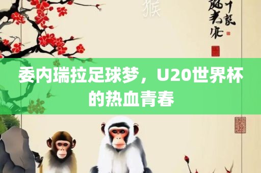 委内瑞拉足球梦，U20世界杯的热血青春