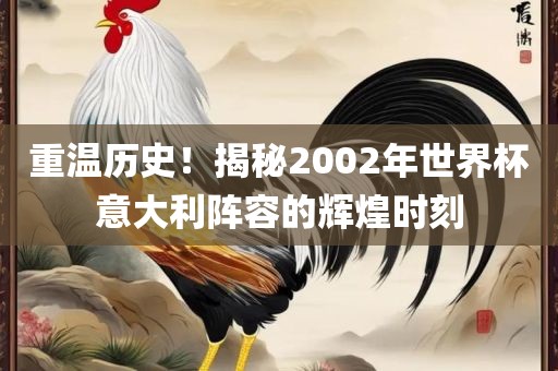 重温历史！揭秘2002年世界杯意大利漯河市盈旭机械设备有限公司阵容的辉煌时刻