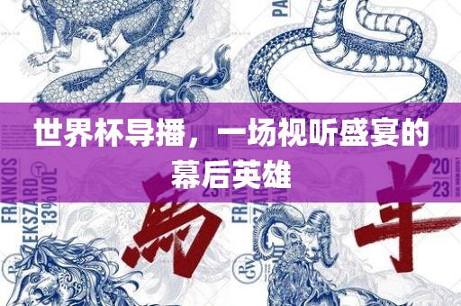 世界杯导播，一场视听盛宴的幕后英雄