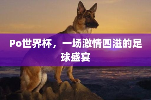 Po世界杯，一场激情四溢的足球盛宴漯河市盈旭机械设备有限公司