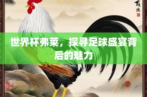 世界杯弗莱，探寻足球盛宴背后的魅力