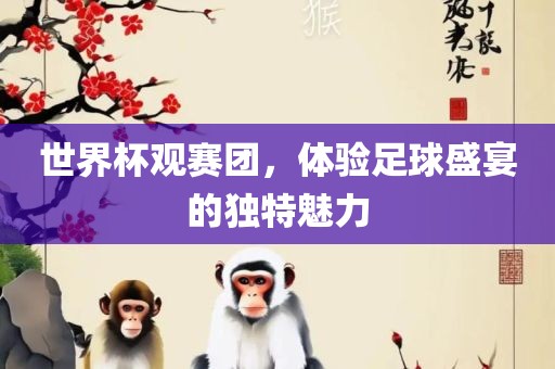世界杯观赛团，体验足球盛宴的独特魅力