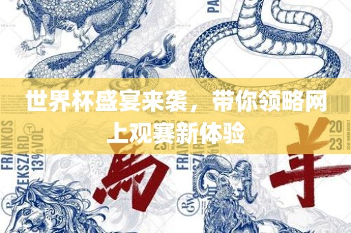 世界杯盛宴来袭，带你领略网上观赛新体验漯河市盈旭机械设备有限公司