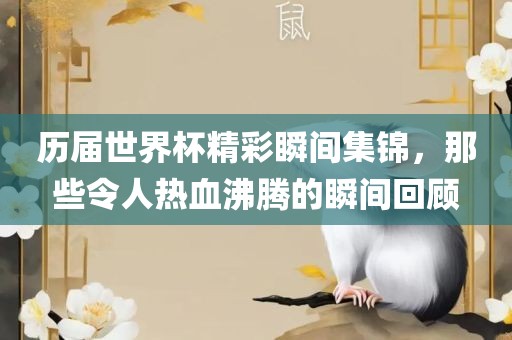 历届世界杯精彩瞬间集锦，那些令人热血沸腾的瞬间回顾