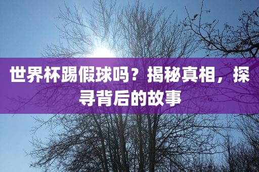 世界杯踢假球吗？揭秘真相，探寻背后的故事