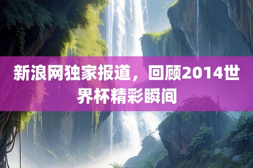 新浪网独家报道，回顾2014世界杯精彩瞬间