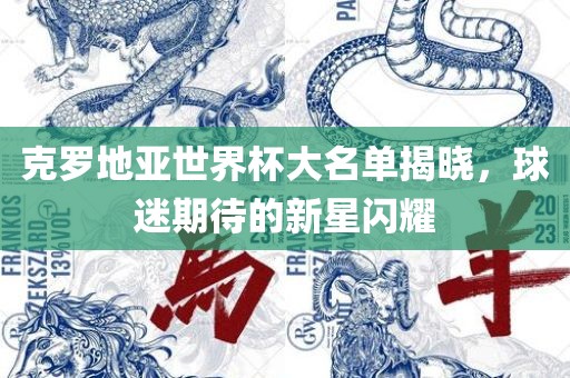克罗地亚世界杯大名单揭晓，球迷期待的新星闪耀