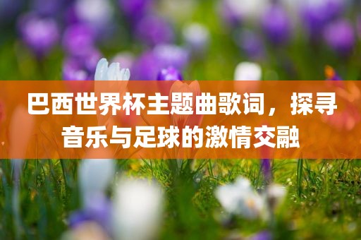 巴西世界杯主题曲歌词，探寻音乐与足球的激情交融