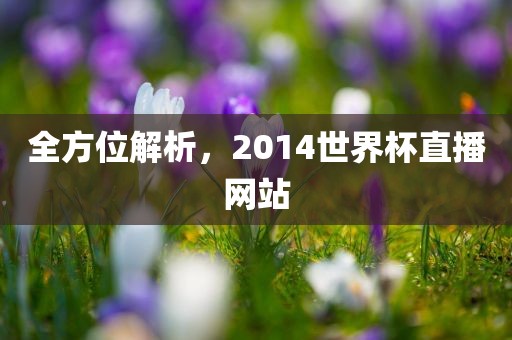 全方位解析，2014世界杯直播网站