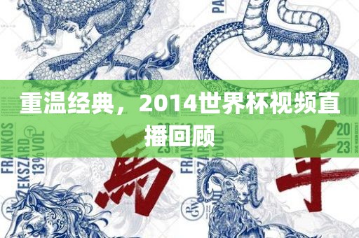 重温经典，2014世界杯视频直播回顾