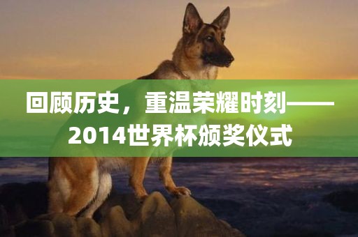 回顾历史，重温荣耀时刻——2014世界杯颁奖仪式
