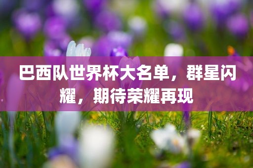 巴西队世界杯大名单，群星闪耀，期待荣耀再现