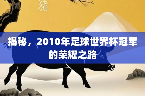 揭秘，2010年足球世界杯冠军的荣耀之路漯河市盈旭机械设备有限公司