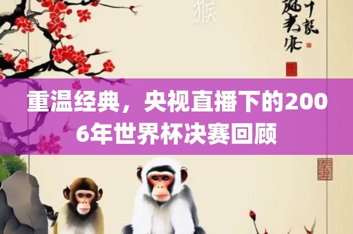 重温经典，央视直播下的2006年世界杯决赛回顾