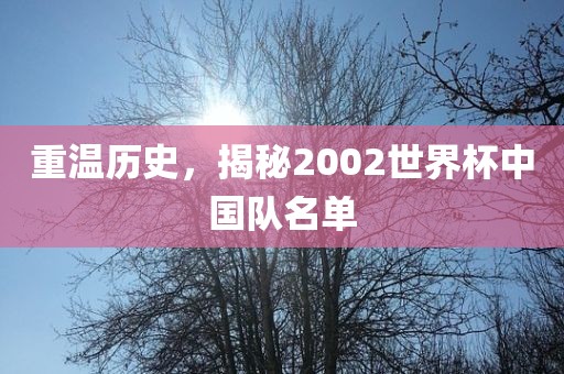 重温历史，揭秘2002世界杯中国队名单