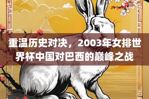 重温历史对决，2003年女排世界杯中国对巴西的巅峰之战