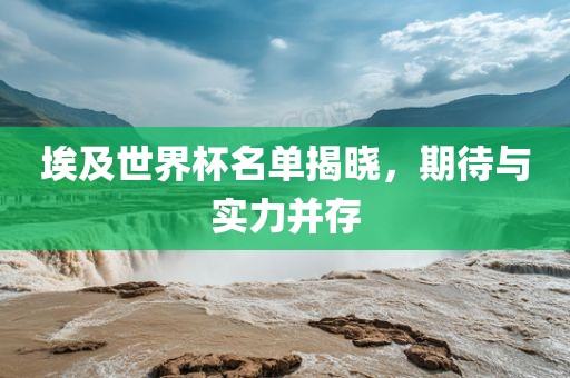 埃及世界杯名单揭晓，期待与实力并存
