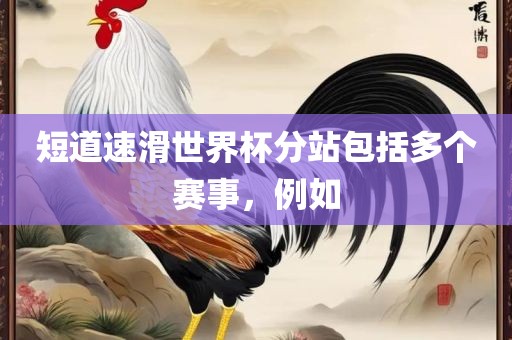 短道速滑世界杯分站包括多个赛事，例如