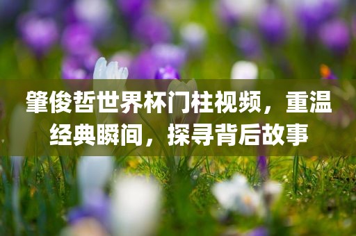 肇俊哲世界杯门柱视频，重温经典瞬间，探寻背后故事漯河市盈旭机械设备有限公司