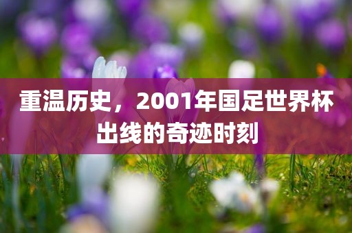 重温历史，2001年国足世界杯出线的奇迹时刻