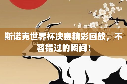 斯诺克世界杯决赛精彩回放，不容错过的瞬间！漯河市盈旭机械设备有限公司