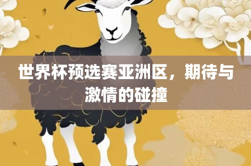 世界杯预选赛亚洲区，期待与激情的碰撞