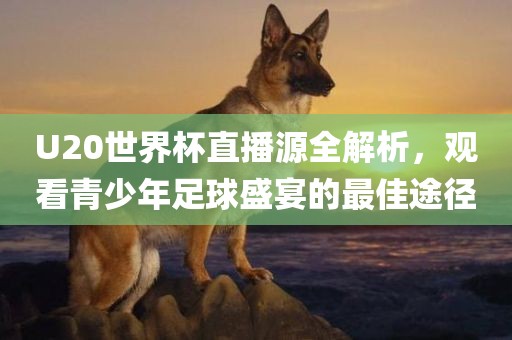 U20世界杯直播源全解析，观看青少年足球盛宴的最佳途径漯河市盈旭机械设备有限公司