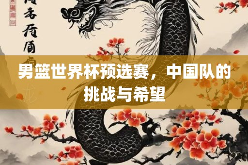 男篮世界杯预选赛，中国队的挑战与希望