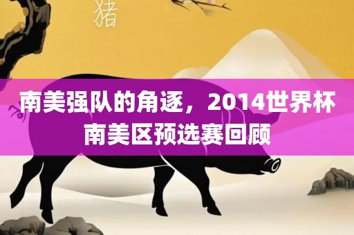 南美强队的角逐，2014世界杯南美区预选赛回顾