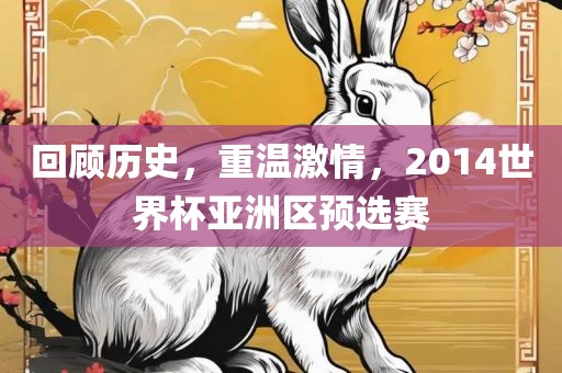回顾历史，重温激情，2014世界杯亚洲区预选赛