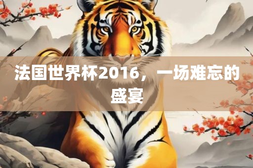 法国世界杯2016，一场难忘的盛宴