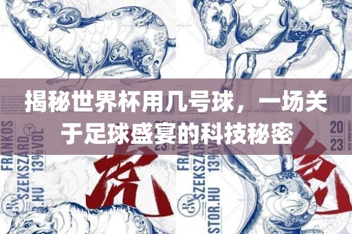 揭秘世界杯用几号球，一场关于足球盛宴的科技秘密
