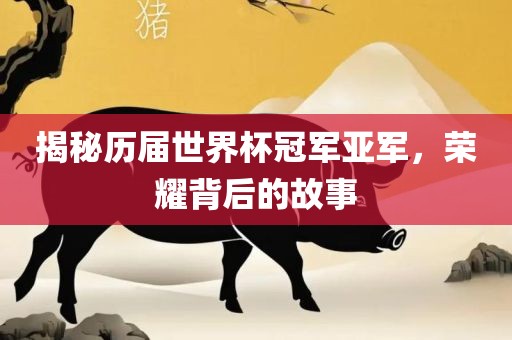 揭秘历届世界杯冠军亚军，荣耀背后的故事