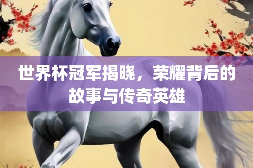 世界杯冠军揭晓，荣耀背后的故事与传奇英雄