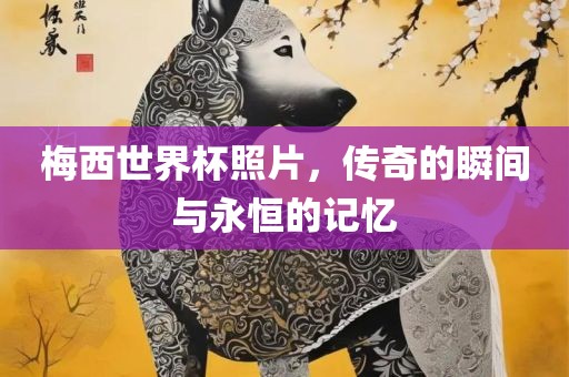 梅西世界杯照片，传奇的瞬间与永恒的记忆