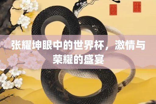 张耀坤眼中的世界杯，激情与荣耀的盛宴