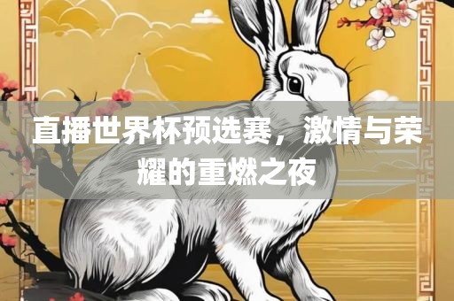 直播世界杯预选赛，激情与荣耀的重燃之夜