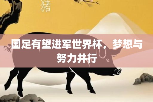 国足有望进军世界杯，梦想与努力并行